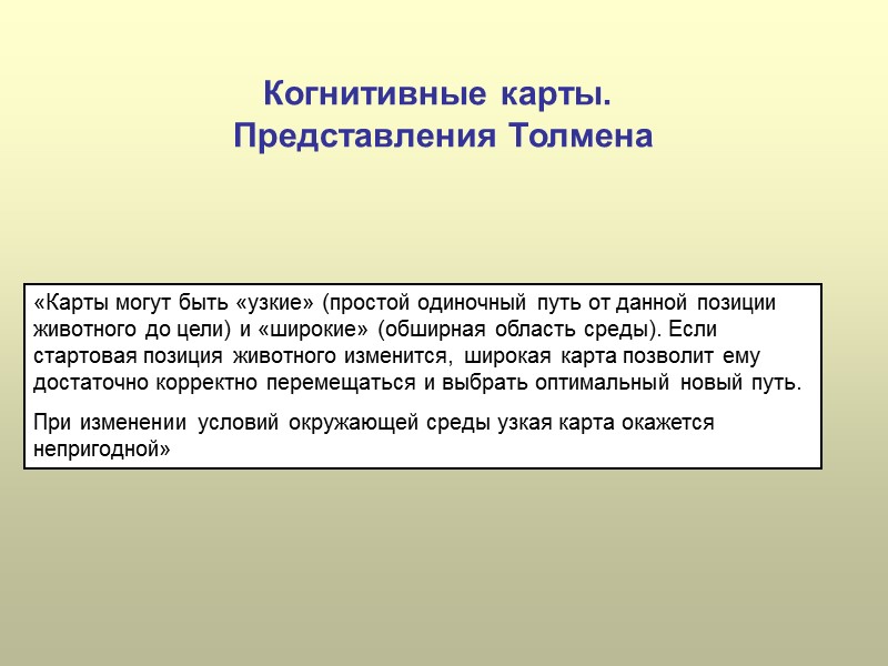Когнитивные карты.  Представления Толмена «Карты могут быть «узкие» (простой одиночный путь от данной